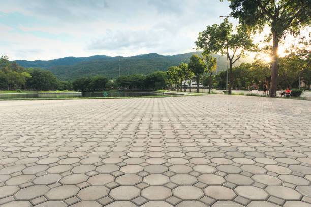 Best Concrete Paver Driveway  in North Valley, NM