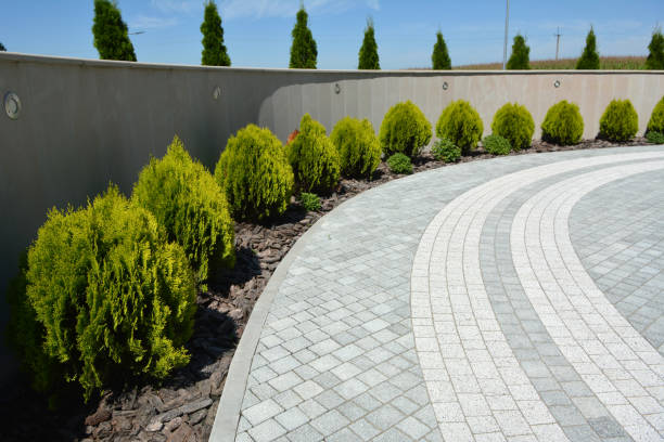 Best Driveway Paving Contractor  in North Valley, NM